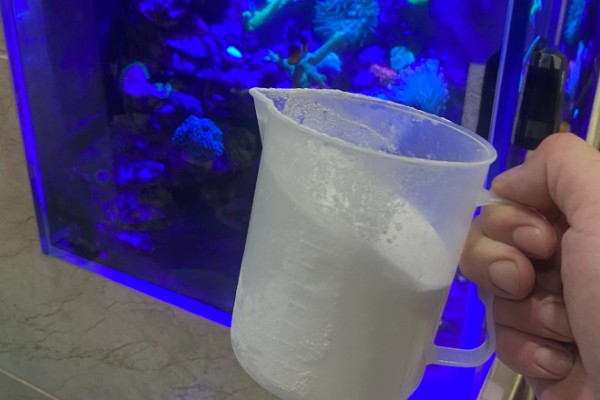 鱼快死了能不能救活,缺氧或受到刺激救活的几率比较大