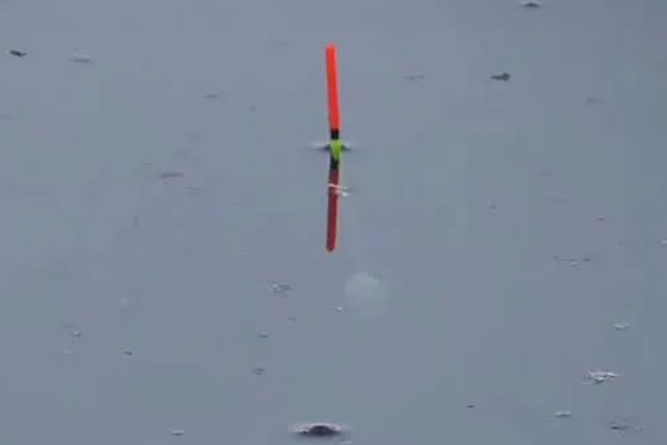 水库钓鱼选择哪种鱼竿，远投用海竿较合适