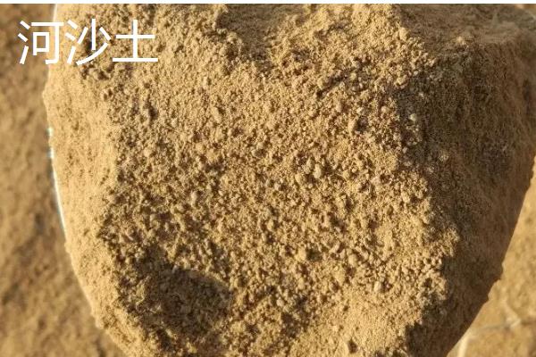 种植虎皮兰适合用什么土壤，田园土、腐叶土、泥炭土等种类都可以使用
