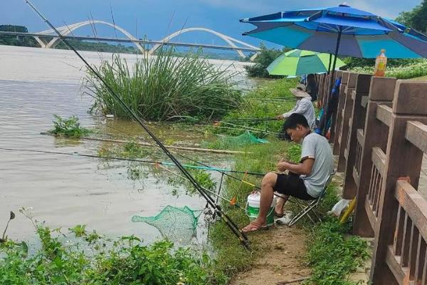 性价比高的鲇竿,推荐轻硬鲇、惊鸿鲇等