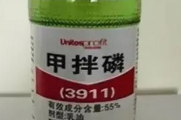 3911治哪些害虫，主要防治粘虫、蚜虫、灰飞虱等