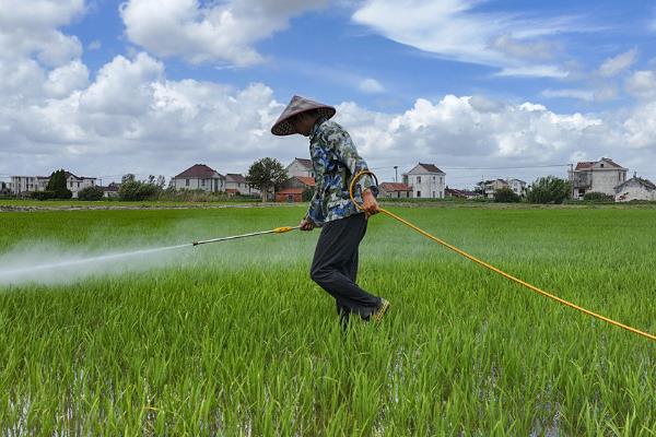 3911治哪些害虫，主要防治粘虫、蚜虫、灰飞虱等