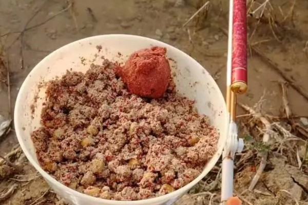 二月份钓鱼需要打窝吗,建议提前打窝