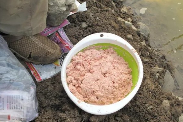 二月份钓鱼需要打窝吗,建议提前打窝