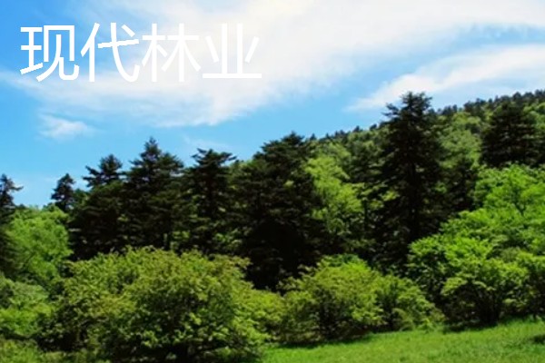 土壤和肥料在林业可持续发展的作用，可提供水分以及养分