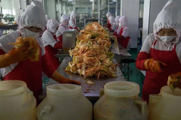 目前好赚钱的项目,有眼镜行业、废品行业等
