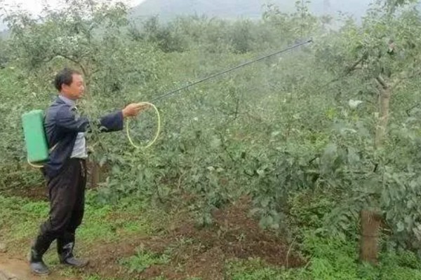 怎么对辣椒使用磷酸二氢钾,生长期亩用50克磷酸二氢钾兑水喷雾