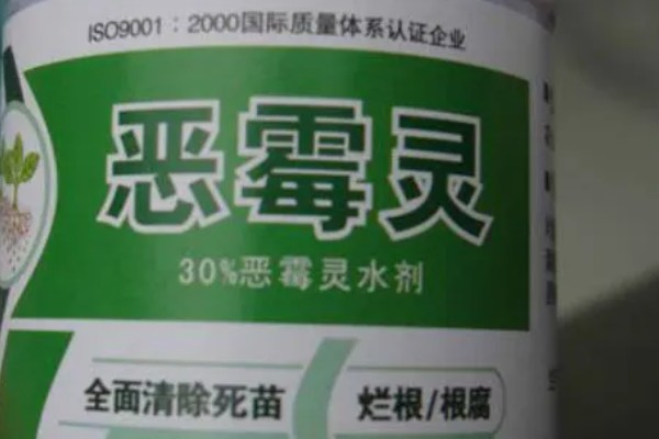 恶霉灵能不能叶面喷施，喷施后可以灭杀致病真菌