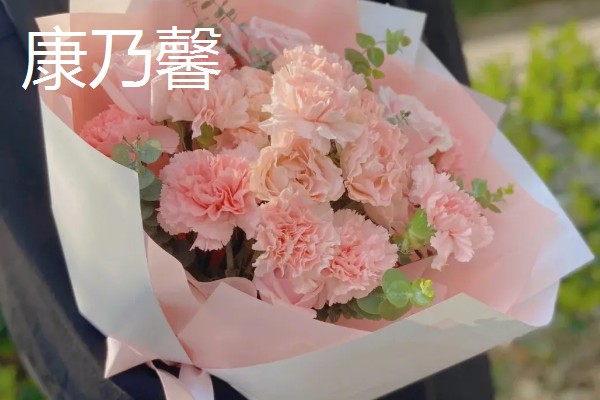 哪些花卉适合送给病人,可选择康乃馨、兰花等品种
