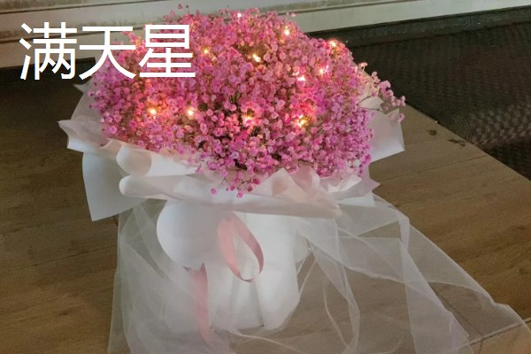 哪些花卉适合送给病人,可选择康乃馨、兰花等品种