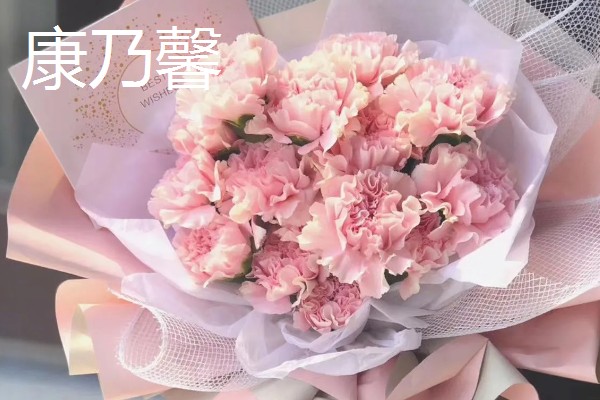 哪些花卉适合送给病人,可选择康乃馨、兰花等品种
