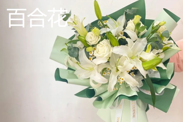 哪些花卉适合送给病人,可选择康乃馨、兰花等品种