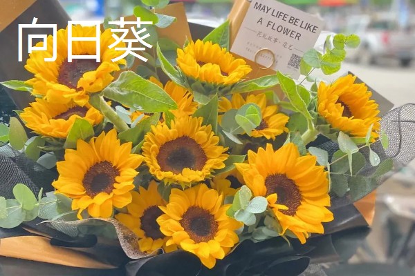 哪些花卉适合送给病人,可选择康乃馨、兰花等品种