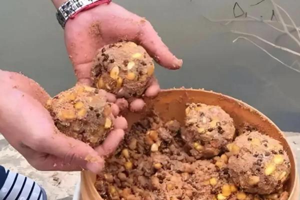 钓鳊鱼如何选择钓位,首选有沉底植物的敞水区