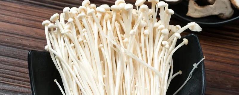 菌菇有什么种类，常见香菇、金针菇、茶树菇等品种