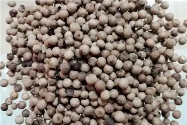 黑胡椒和白胡椒是一样的吗,原料和气味均不同