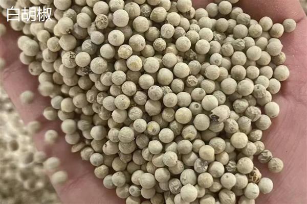 黑胡椒和白胡椒是一样的吗,原料和气味均不同