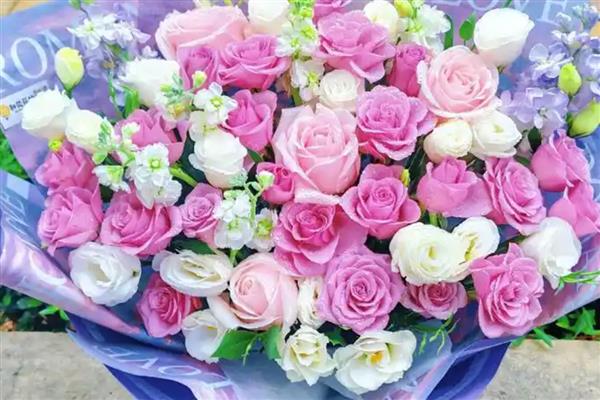 紫玫瑰的花语，花语是浪漫、高贵、忧郁