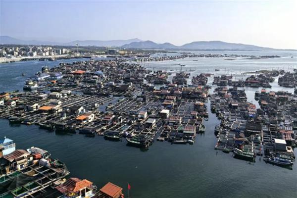海南陵水黎族自治县的特产,有雷公笋、黄灯笼辣椒等