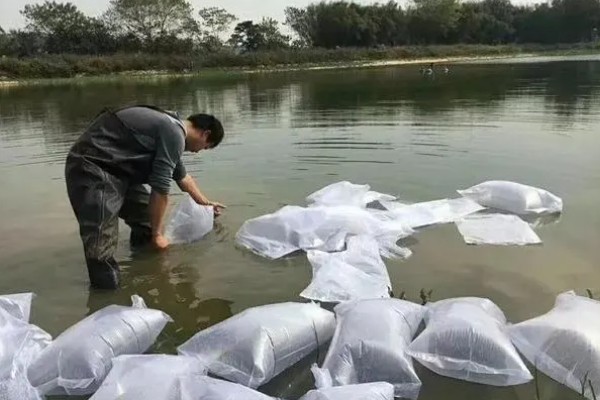 鱼塘投鸡粪就不开口的原因,可促进水草和浮游生物繁殖为鱼类提供自然饵料