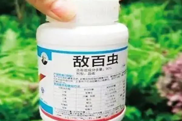 敌百杀虫剂简介,药效大约持续5-7天