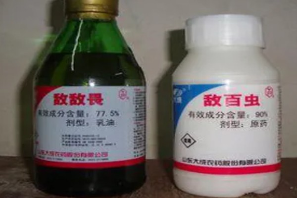 敌百杀虫剂简介,药效大约持续5-7天