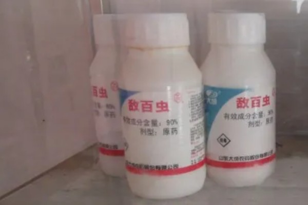 敌百杀虫剂简介,药效大约持续5-7天