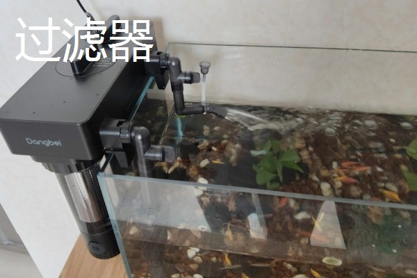 鱼缸水质差怎么补救,可以安装过滤