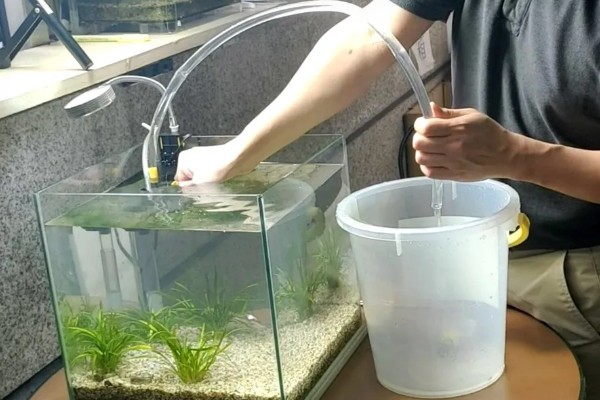 鱼缸水质差怎么补救,可以安装过滤