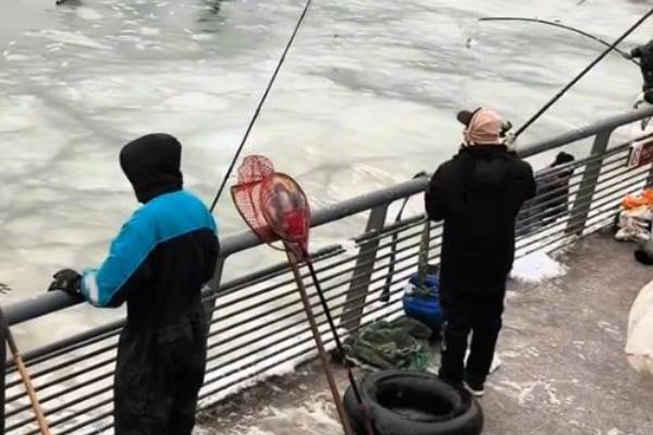 海冰灾害常发生在我国哪里，以渤海、黄海海域为主