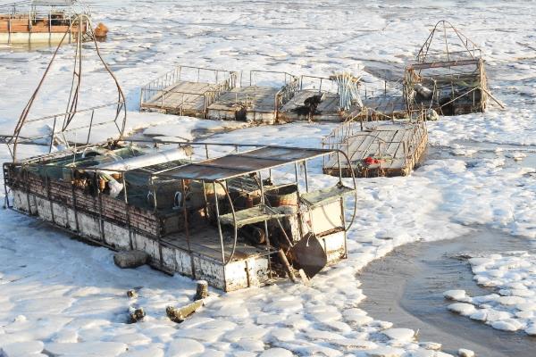 海冰灾害常发生在我国哪里，以渤海、黄海海域为主