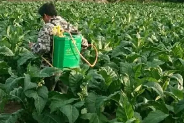 有哪些有机铜制剂农药，有乙酸铜、噻菌铜等