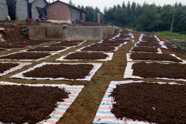 养蚯蚓怎样取蚯蚓粪,可采用诱饵法、框漏法等