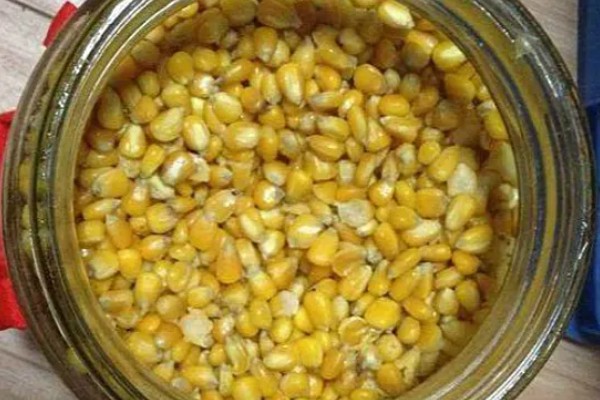 玉米种子出苗差的原因，可能是本身品质不过关