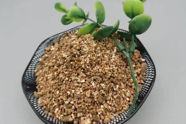 蛭石拌土能不能用来养花，可促进花卉根系的生长
