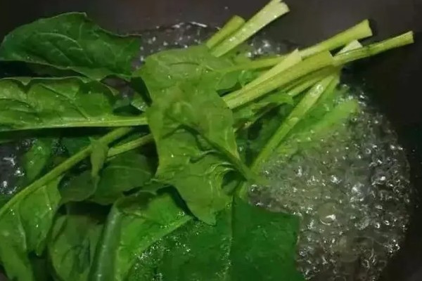 绿叶菜是指什么蔬菜,主要包含菠菜、莴苣等