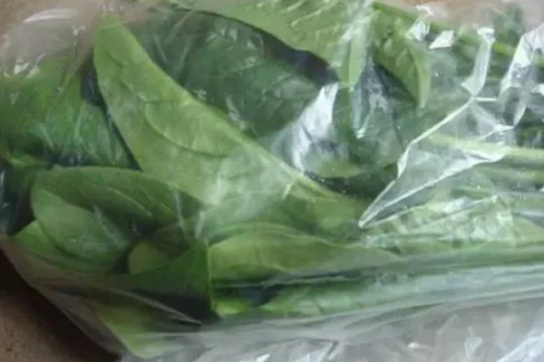 绿叶菜是指什么蔬菜,主要包含菠菜、莴苣等