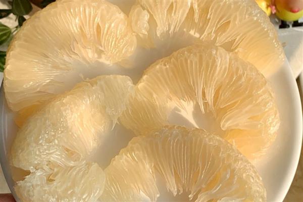 狗狗能吃哪些水果,可以适量吃苹果、香蕉等