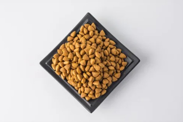 如何正确选择狗粮,根据年龄、肉类原料等选择