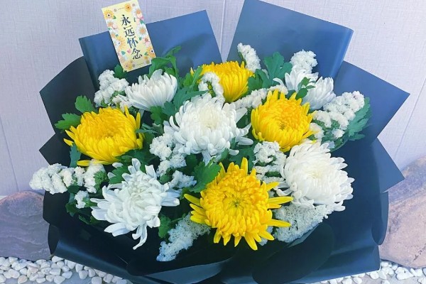 清明节菊花的花语,寓意怀念以及追悼