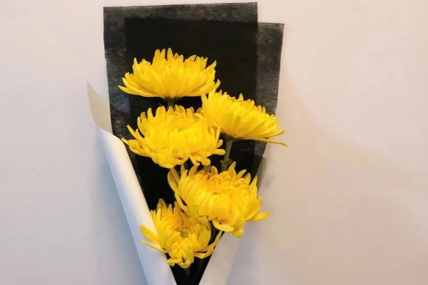 清明节菊花的花语,寓意怀念以及追悼