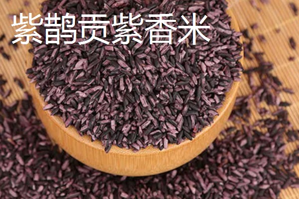 湖南新化县的特产，龙牙百合属于食用百合中的优品