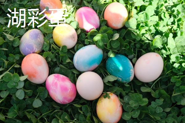 湖南新化县的特产，龙牙百合属于食用百合中的优品