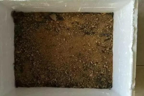 用泡沫箱种菜是否有毒,本身没有毒性