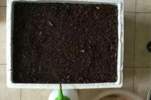 用泡沫箱种菜是否有毒,本身没有毒性