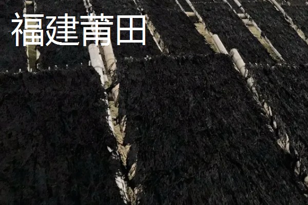 紫菜有什么出名的产地,福建霞浦是我国紫菜之乡