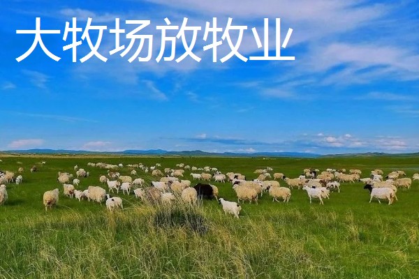 大牧场放牧业有什么区位条件,具有干旱或半干旱的气候
