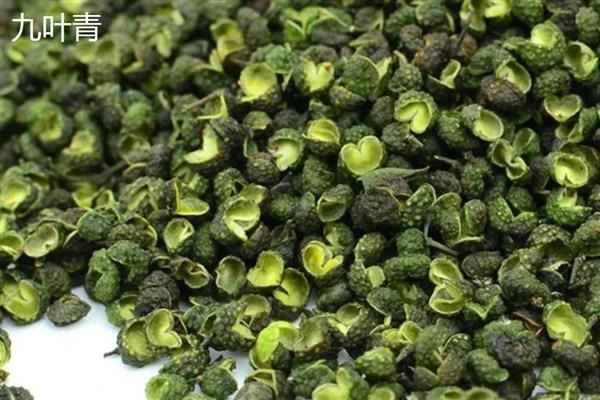 种植花椒的环境，全年日照时长不能少于1800小时
