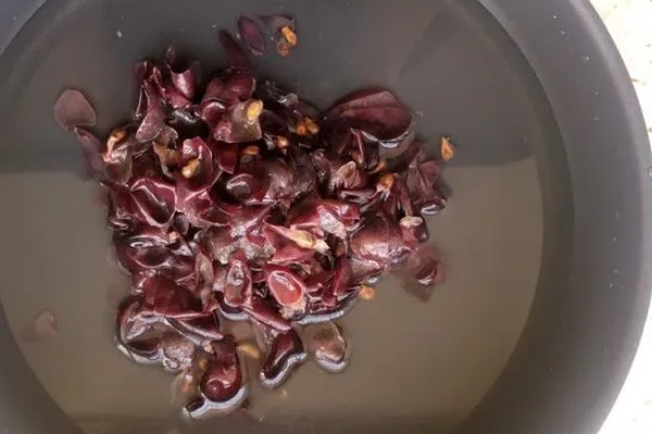 红提种子的催芽方法,常用以下三种方式