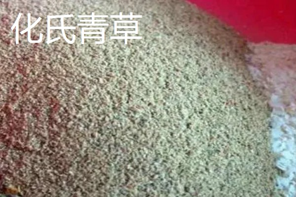 钓草鱼适合用什么饵料，草香味、甜香味、薯香味、酒香味饵料都很合适